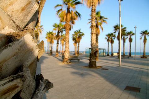 Barcelona City Beach
