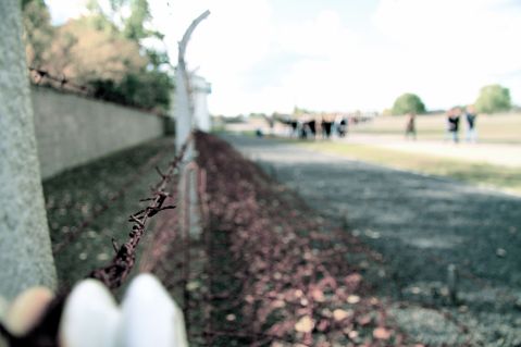 Barbed Wire at Sachsenhausen